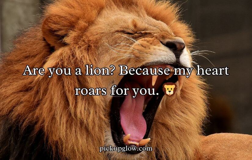 Animal Pick Up Lines