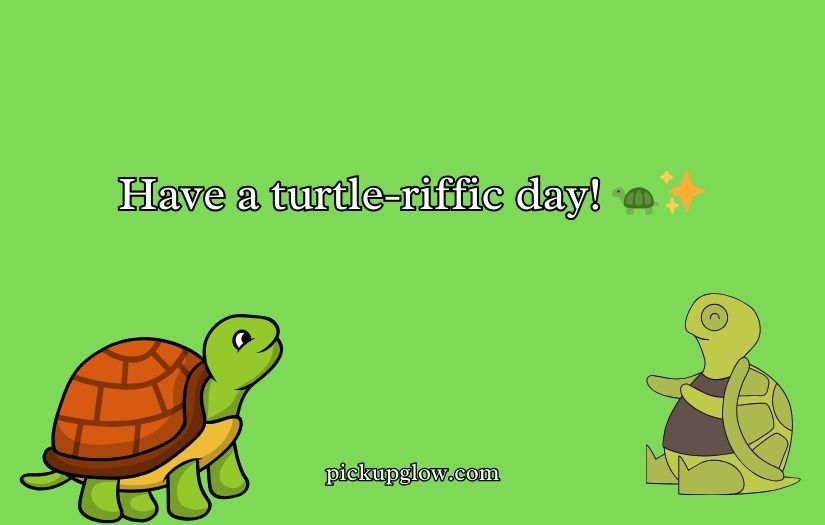 Turtle Puns