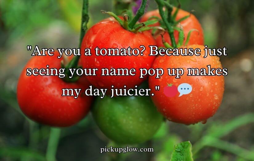 Tomato Pick Up Lines