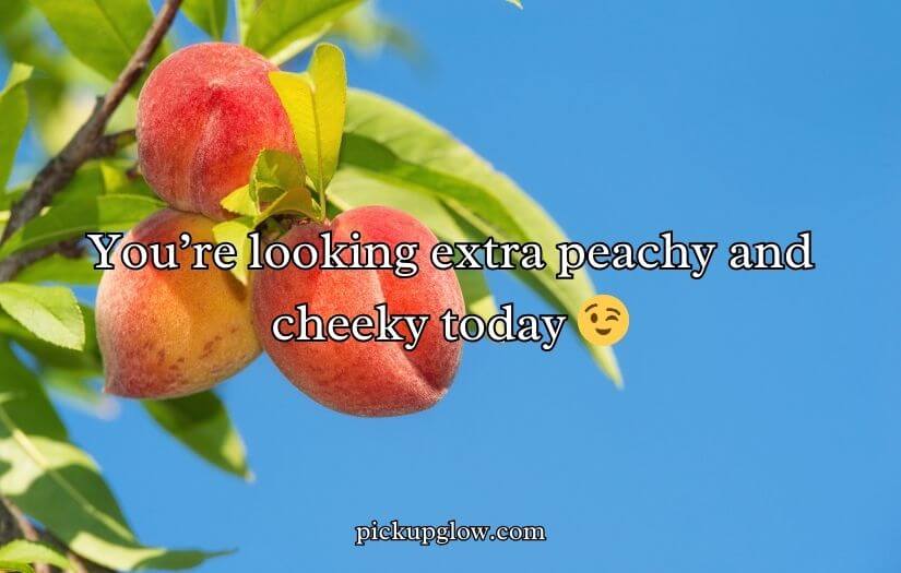 Funny Peach Puns