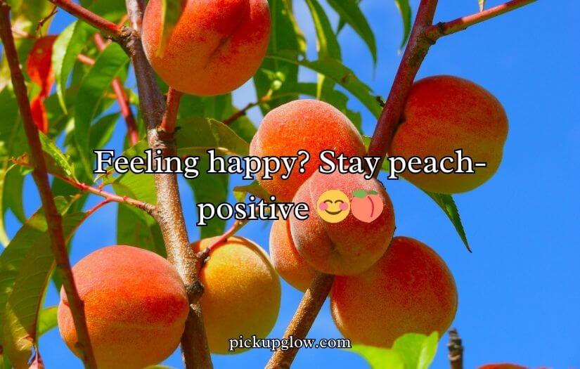 Funny Peach Puns