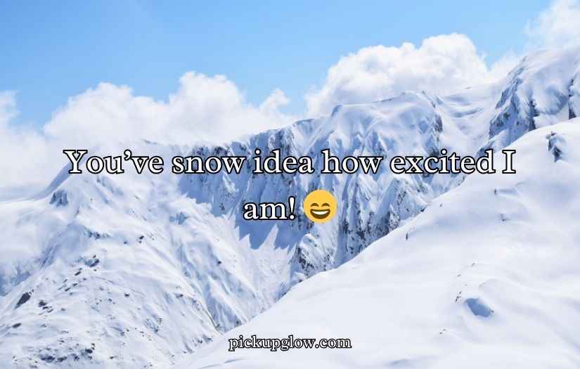 Snow Puns