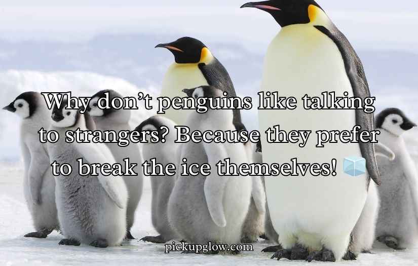 Penguin Jokes Puns and Jokes with cute, funny, icy humor for all ages. Enjoy playful penguin laughs perfect for sharing and brightening your day.