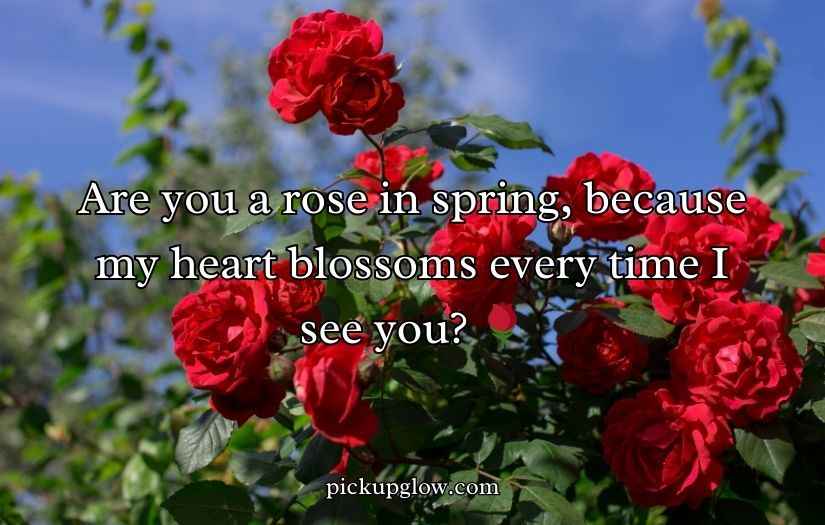 Flower Pick Up Lines