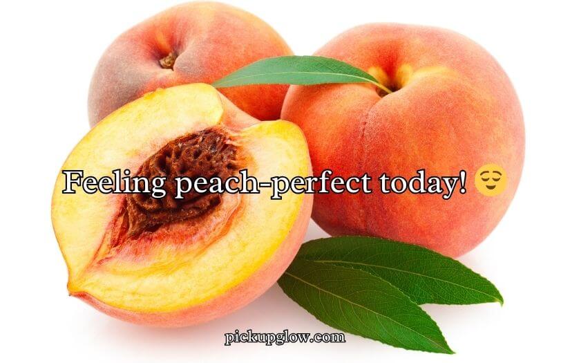Funny Peach Puns