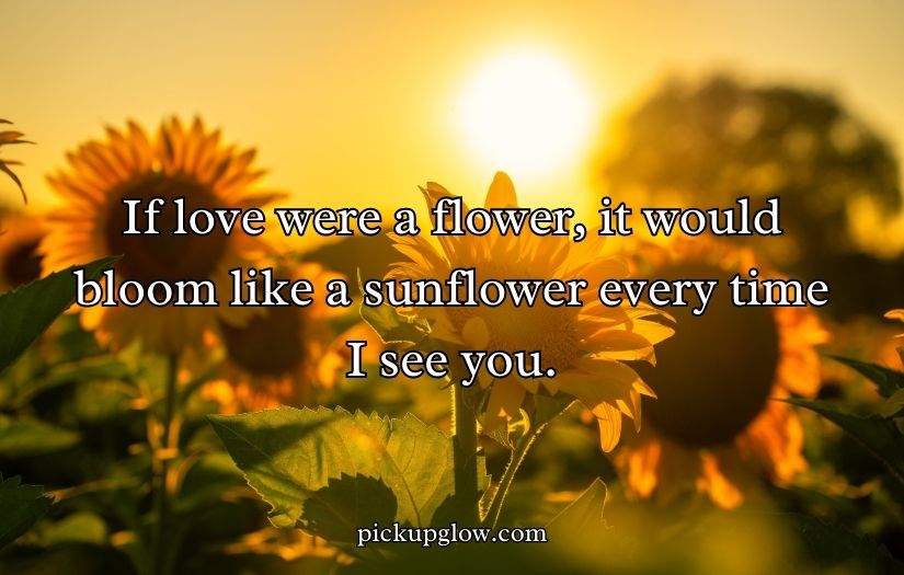 Sunflower Rizz Lines