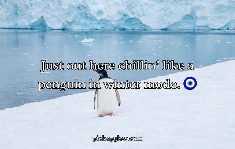 Penguin Jokes Puns and Jokes