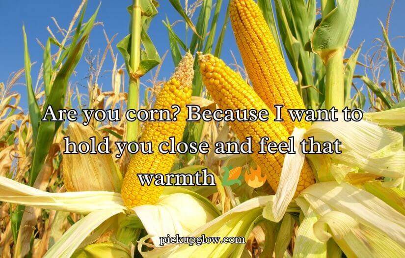 Corn Pick Up Lines