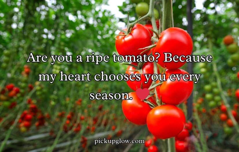 Tomato Pick Up Lines