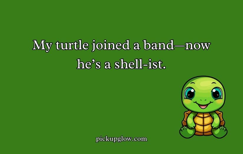 Turtle Puns