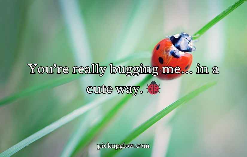 Bug Puns