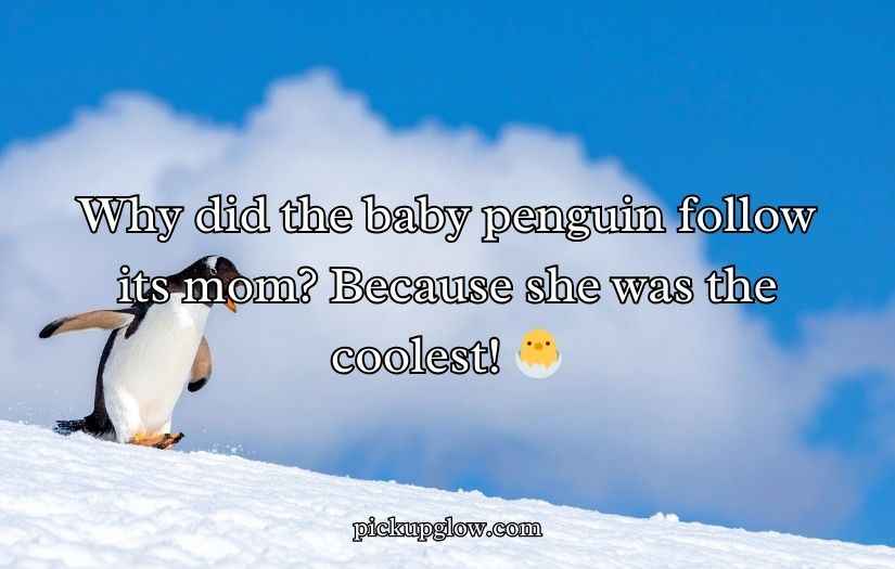 Penguin Jokes Puns and Jokes