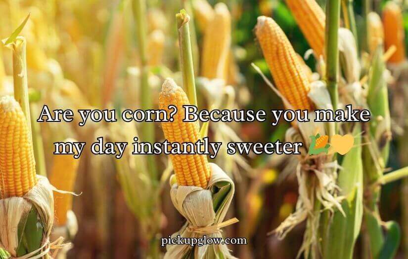 Corn Pick Up Lines