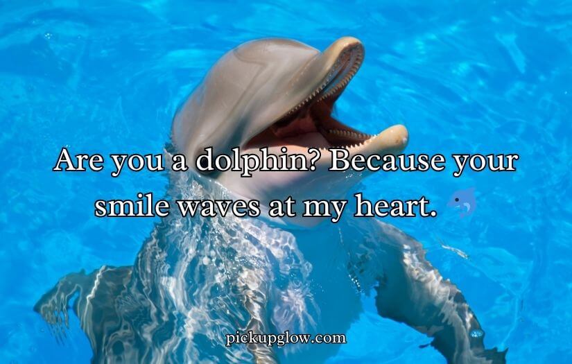 Animal Pick Up Lines