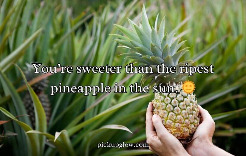 Pineapple Pick Up Lines