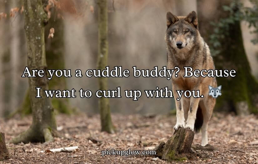 Wolf Pick Up Lines