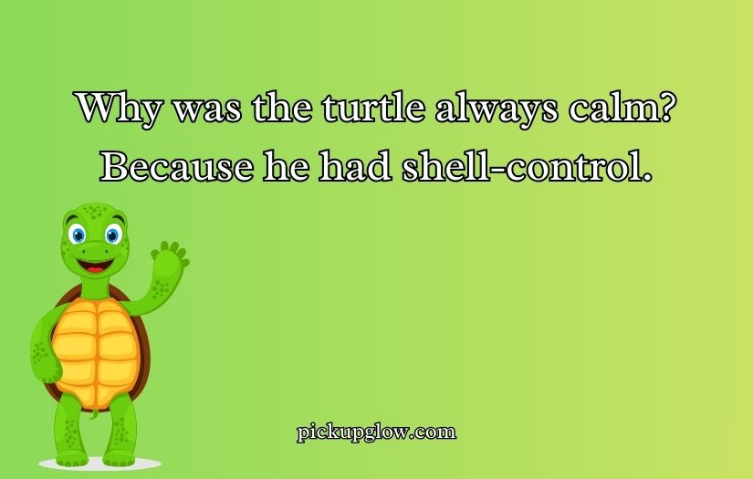 Turtle Puns