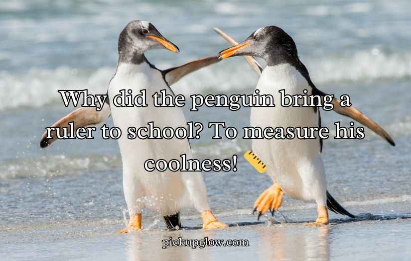 Penguin Jokes Puns and Jokes