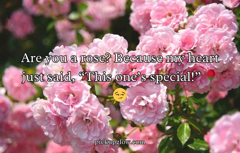 Flower Pick Up Lines