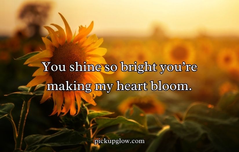 Sunflower Rizz Lines