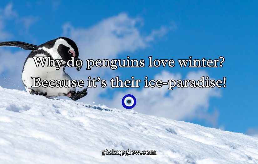 Penguin Jokes Puns and Jokes
