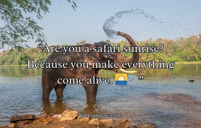 Best Elephant Pick Up Lines And Rizz