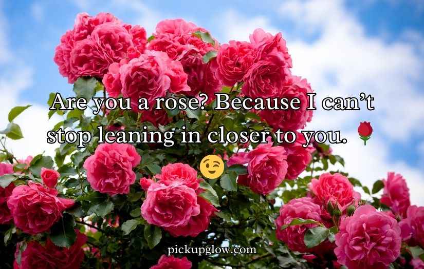 Flower Pick Up Lines