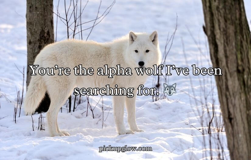 Wolf Pick Up Lines
