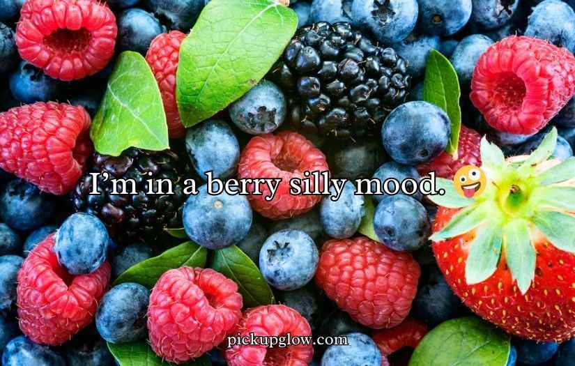 Berry Puns