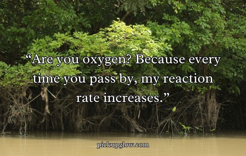 Oxygen Pickup Lines