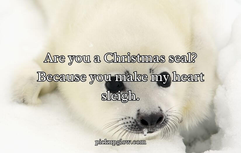 Seal Pickup Lines