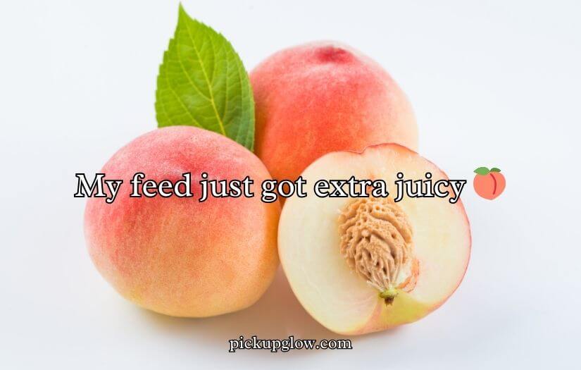 Funny Peach Puns