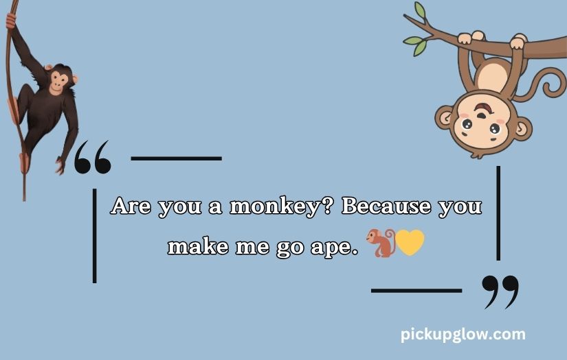 Rizz Monkey GIF Pick Up Lines