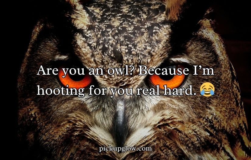 Owl Pick Up Lines