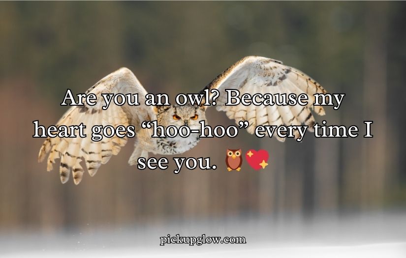 Owl Pick Up Lines