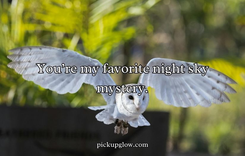 Owl Pick Up Lines