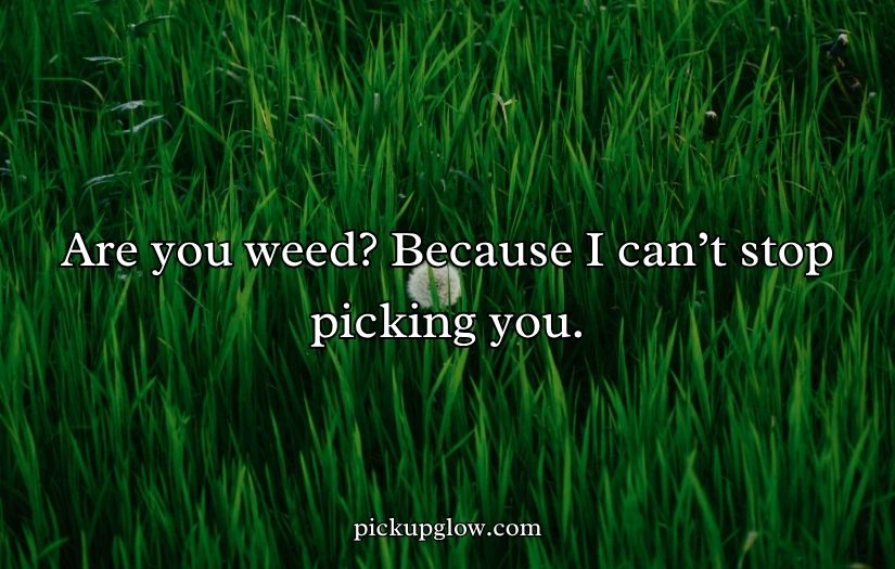 Weed Pickup Lines