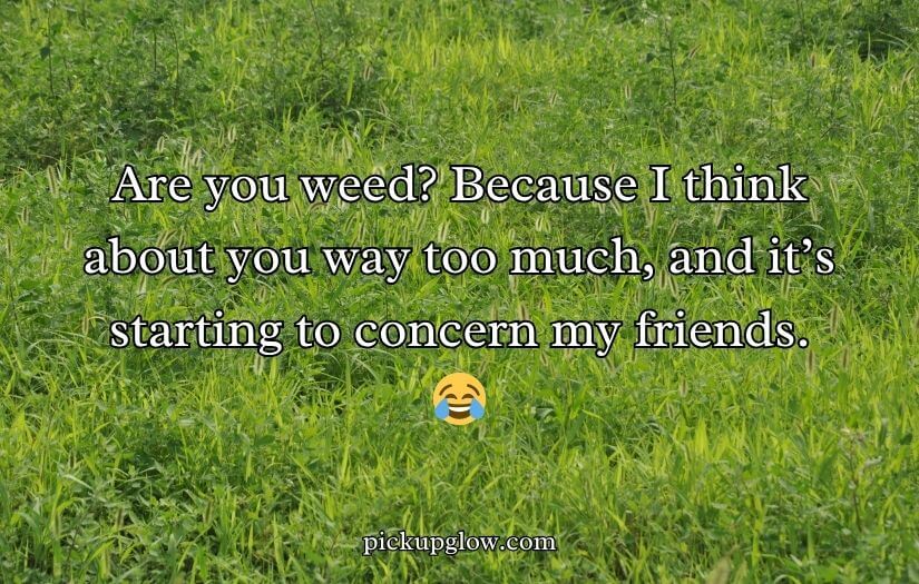 Weed Pickup Lines