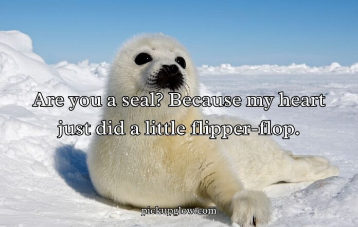 Seal Pickup Lines