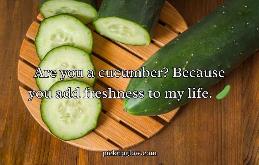 Cucumber Pick Up Lines