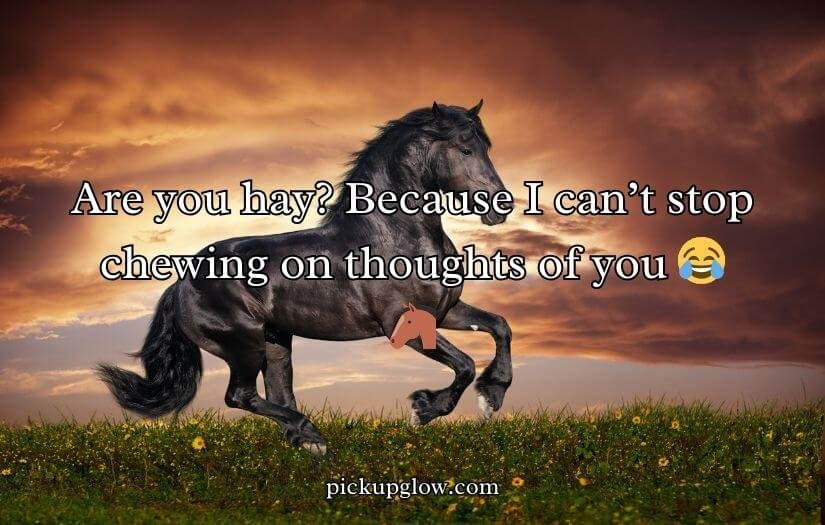 Horse Pick Up Lines