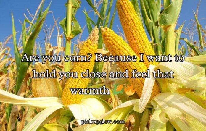 Corn Pick Up Lines