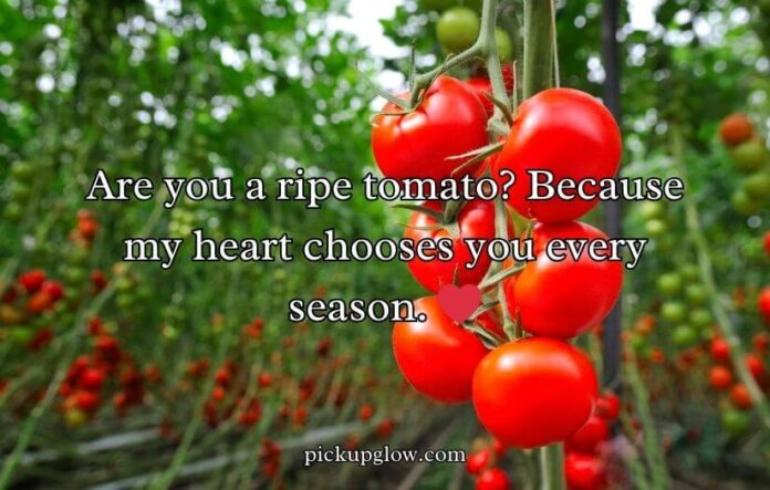Tomato Pick Up Lines