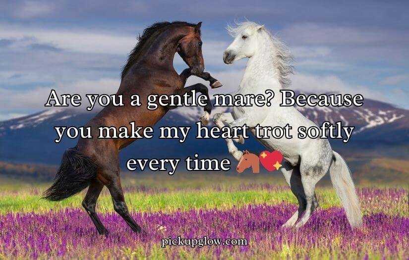 Horse Pick Up Lines