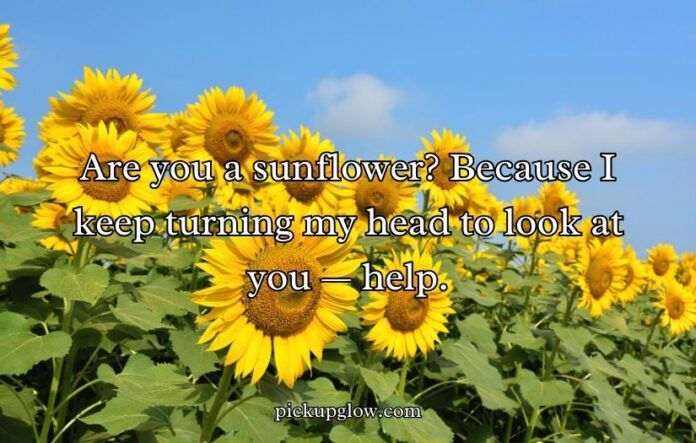 Sunflower Rizz Lines