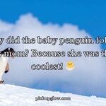 Penguin Jokes Puns and Jokes Penguin Jokes Puns and Jokes