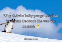 Penguin Jokes Puns and Jokes Penguin Jokes Puns and Jokes