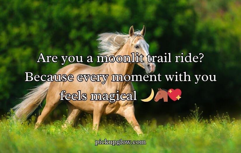 Horse Pick Up Lines