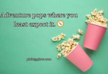 Popcorn Puns Popcorn Puns