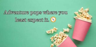 Popcorn Puns Popcorn Puns